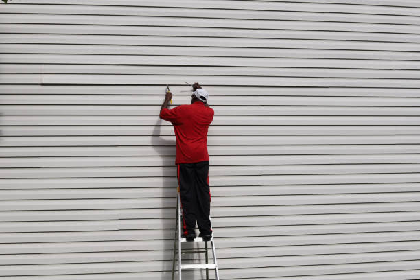Best Aluminum Siding Installation  in Vestavia Hills, AL