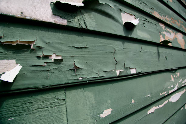 Best Custom Trim and Detailing for Siding  in Vestavia Hills, AL