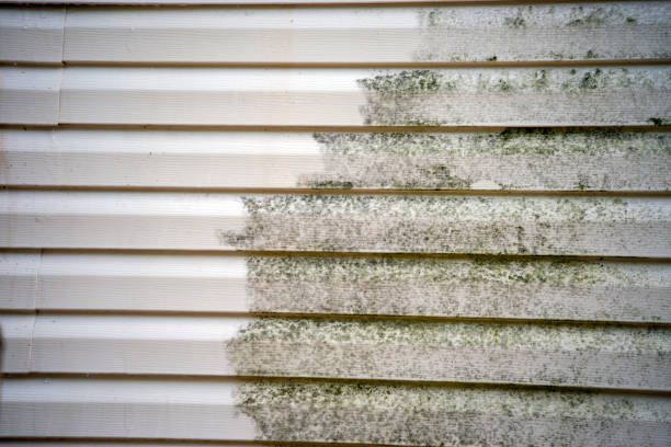 Best Stucco Siding  in Vestavia Hills, AL