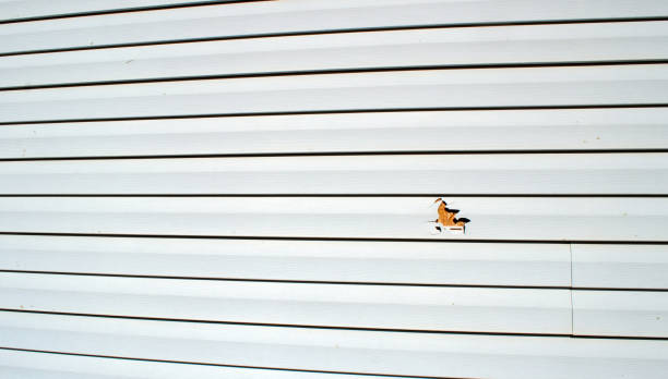 Historical Building Siding Restoration in Vestavia Hills, AL