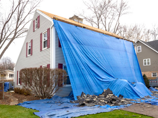 Best Brick Veneer Siding  in Vestavia Hills, AL