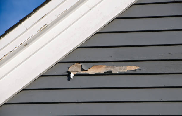 Best Engineered Wood Siding  in Vestavia Hills, AL